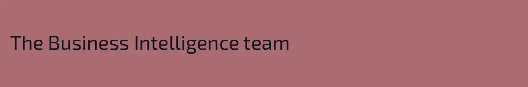 The Business Intelligence team